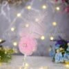 Luxury Nikkah Wedding Pen - With Pink Fur
